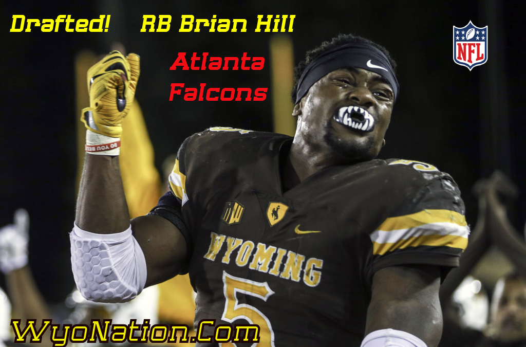 Brian Hill: NFL Running Back