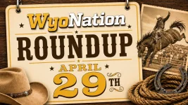 WhatsApp Image 2026-04-29 at 10.50.24.webp